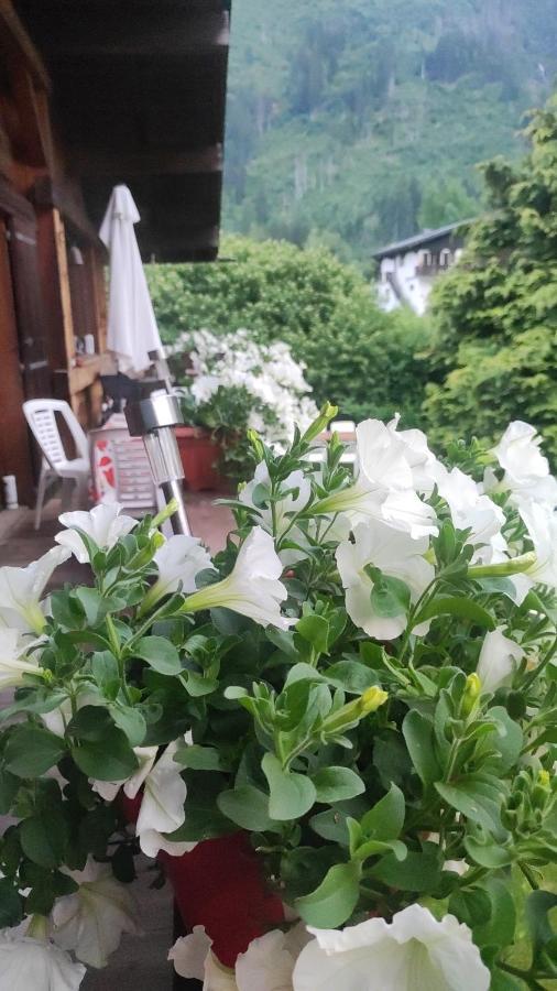 Tellahouse Otel Chamonix Dış mekan fotoğraf